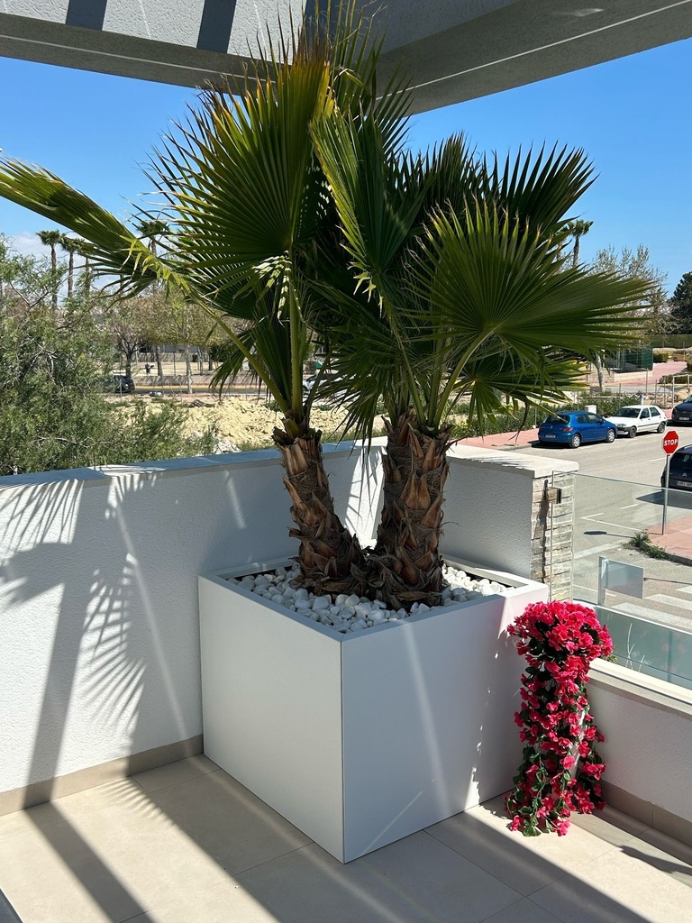 Plantbak Connect Supra Bruin | 2 hoogtes en diverse afmetingen (kopie)