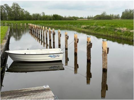 Cloeziana rondhout | 4 maten &amp; 4 lengtes