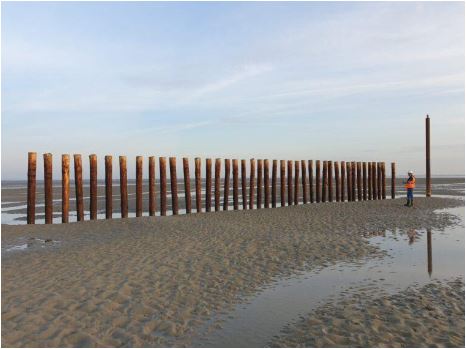 Strandpaal robinia rondhout | Ø10-12cm / 140cm | geschild en gepunt (kopie)