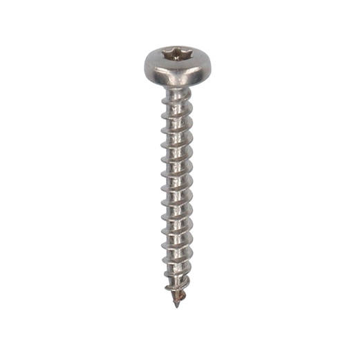 Torx rvs schroef 30 mm | 200 st